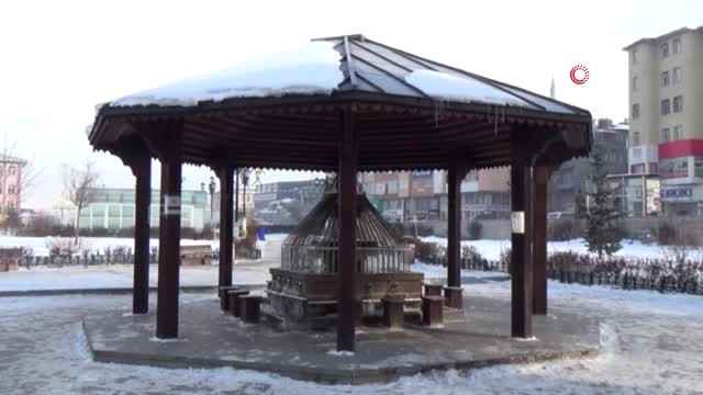 Termometre Eksi 12 Dereceyi Gördü...erzurum Buz Kesti, Şadırvanlar Buz Tuttu
