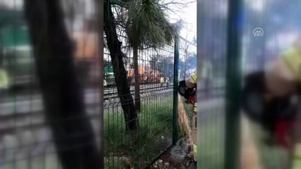Halkalı-Sirkeci Banliyö hattında kaza (5) - İSTANBUL