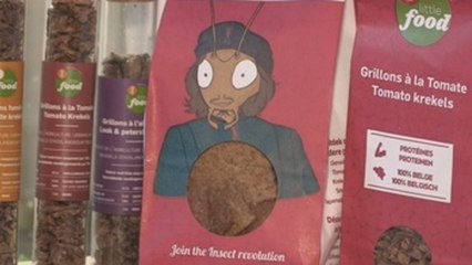 Grillos: una novedad culinaria en Europa