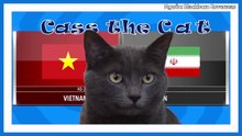 chú mèo tiên tri dự đoán đội tuyển VN vs Iran