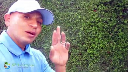 Landscape installation and maintenance - Client Testimonial