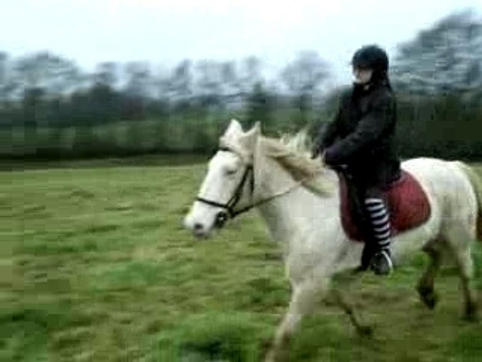 chevaux