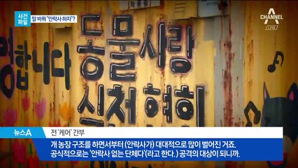[사건파일]동물구조단체 대표의 ‘두 얼굴’