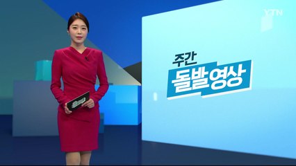 [주간 돌발영상] 1월 둘째 주 / YTN