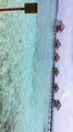 Travel Titli Reviews -Maldives Honeymoon Package on Low Budget - Best Maldives Travel Guide