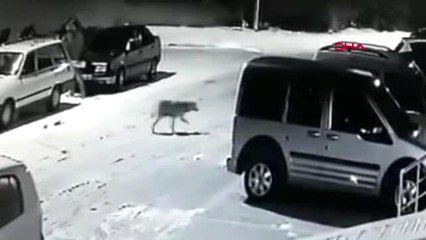 Konya İki Otomobilin Arasında Kalıp Ölümden Döndü