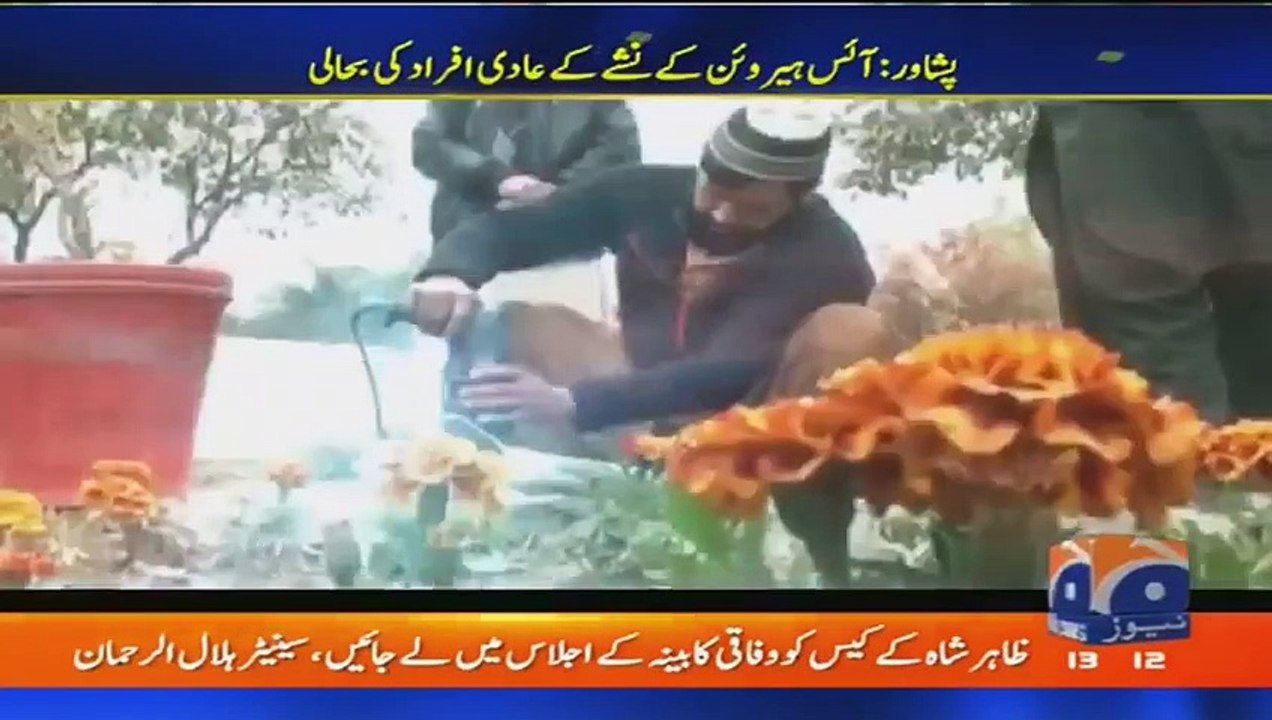 geo adil peshawar ice rehabilitation centre