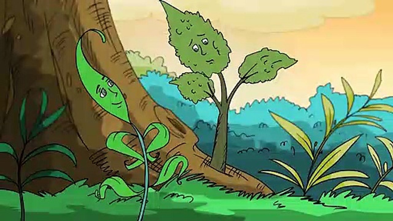 Truyện Cổ Tích hay nhất 2019 - Phim Hoạt Hình - CHÔN VÀNG