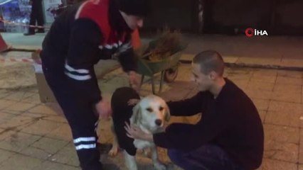 Zonguldak - Özel)temizlik İşçisi Soğuktan Donmasın Diye Çöpten Bulduğu Kazağı Köpeğe Giydirdi