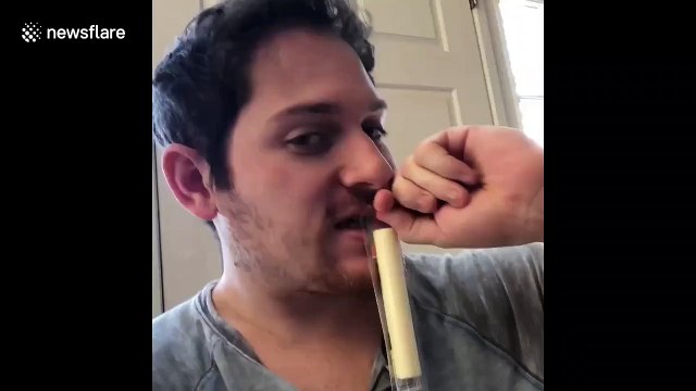 Dog attempts Bird Box Challenge with hilariously cute results