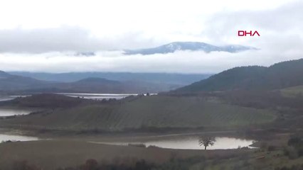Çanakkale Bayramiç Barajı'nda Zirai İlaç Atığı Sorunu Sürüyor