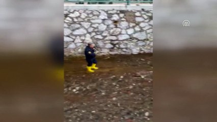 Derede mahsur kalan kediyi itfaiye kurtardı - MUĞLA