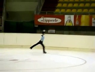 2008 JGP Merano Cup FS