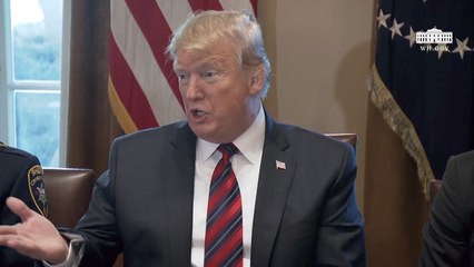 Trump Says He Will Get Sued If He Declares Border Emergency