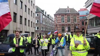 Hollanda'da 'sarı yelekliler' hükümeti protesto etti - LAHEY