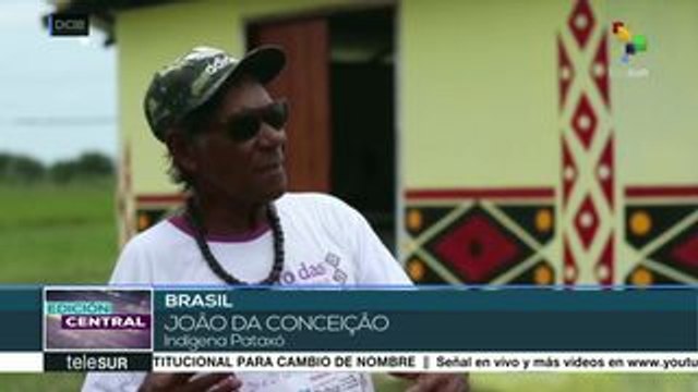 Brasil:pueblo pataxó denuncia deforestación de sus bosques ancestrales