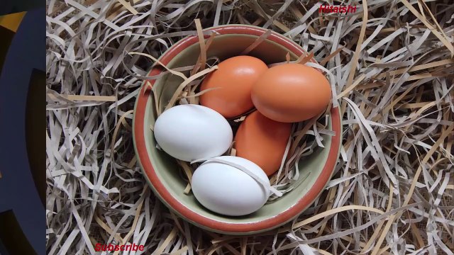 अंडा खाने वाले इस वीडियो को एक बार जरूर देखें * Is eating egg beneficial for our health ?