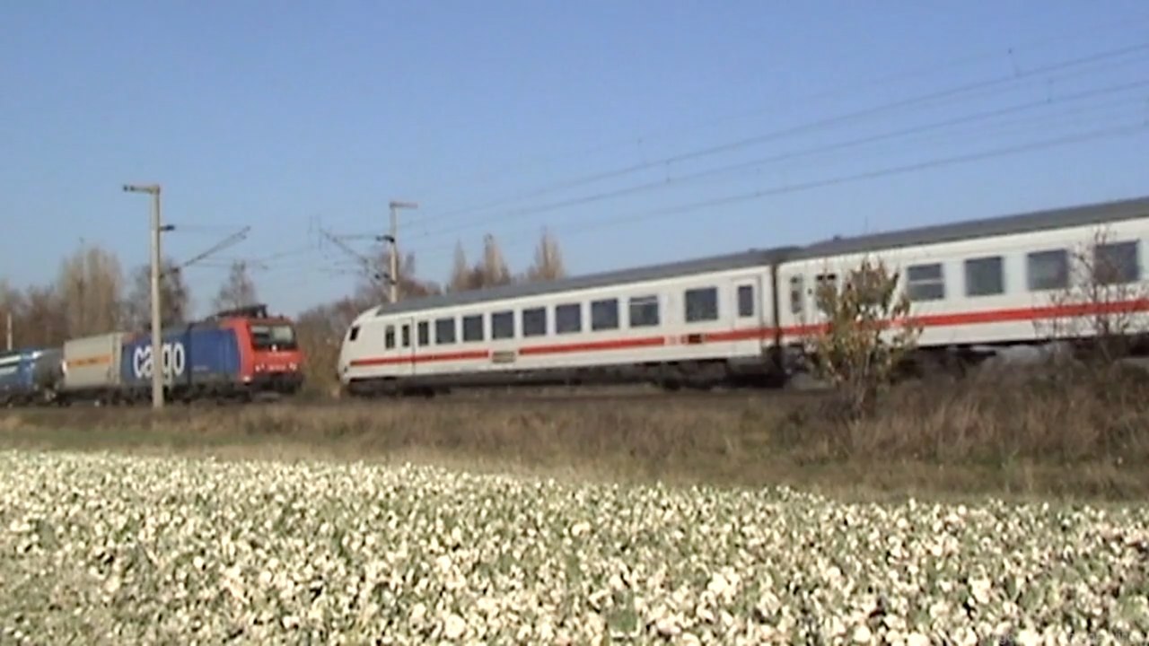 Züge Brühl Walberberg, Crossrail 186, 6x 101, ERS 189, 2x SBB Cargo Re482, 152, 2x 146, 4x 460, 4x 425