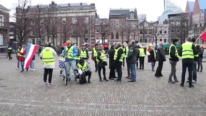 Hollanda'da "Sarı Yelekliler" Hükümeti Protesto Etti - Lahey