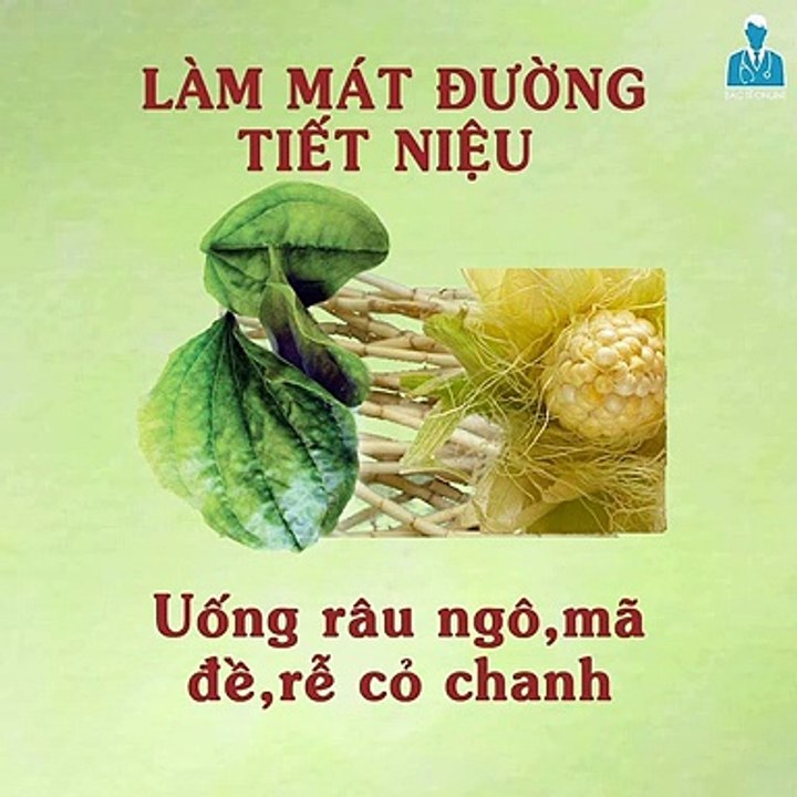 Sống khỏe mỗi ngày - Hướng dẫn cách bảo vệ sức khỏe cho mọi người