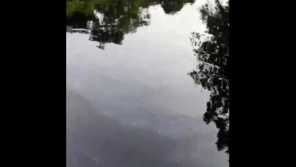 Esgoto é despejado de forma irregular em rios do Litoral do Paraná