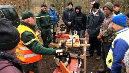 Reiningue: à l'école des bûcherons