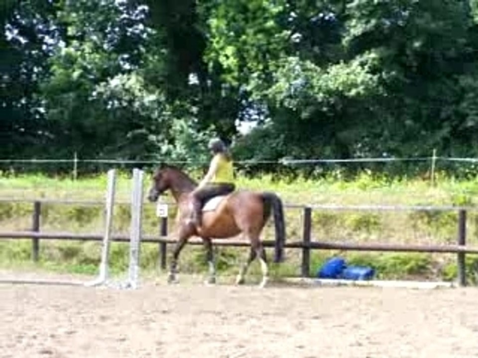 Mon Débile :p