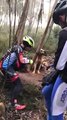 Des cyclistes sauvent un chien abandonné et attaché à un arbre en pleine foret
