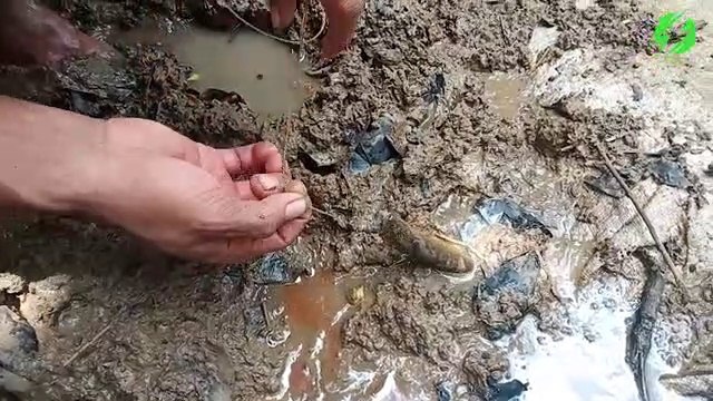 Ce que ce pecheur va sortir de la boue est incroyable