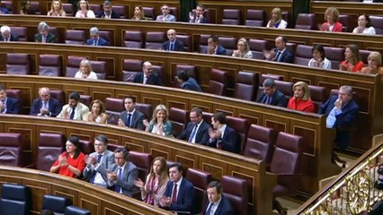 Pedro Sanchez LLUVIA DE ZASCAS de Rafa Hernando del PP