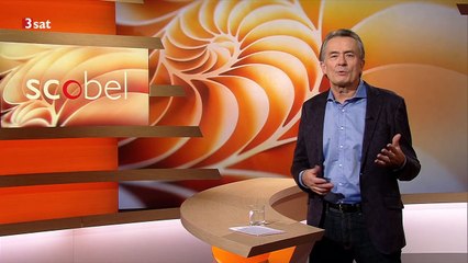 Wenn es um das Eine geht...10.01.2019.. Gert Scobels Leseempfehlung