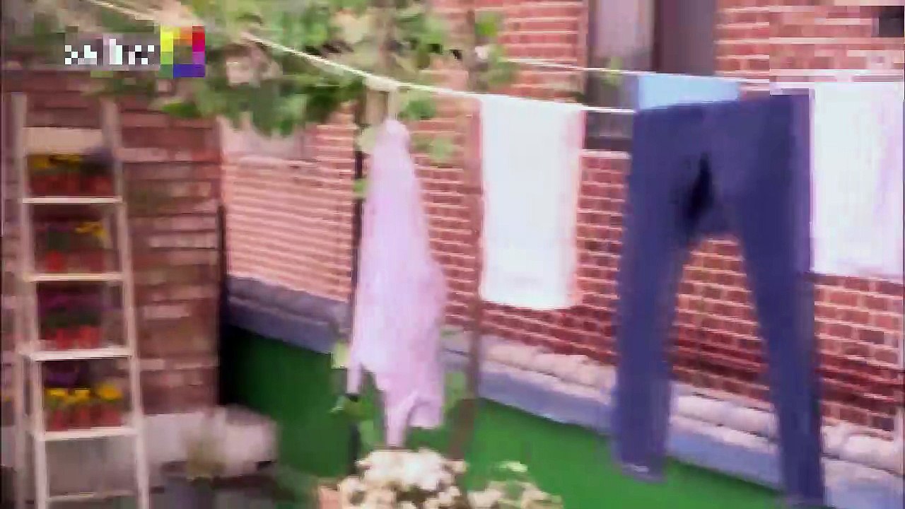 El Rey de las Compras 5 Completo Novela Coreano