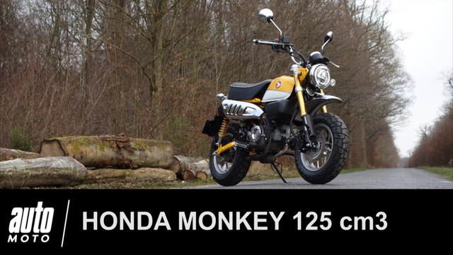 Honda MONKEY 125 Essai POV Auto-Moto.com