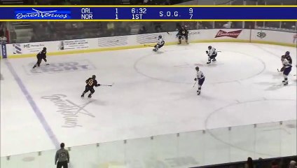ECHL Orlando Solar Bears 2 at Norfolk Admirals 3