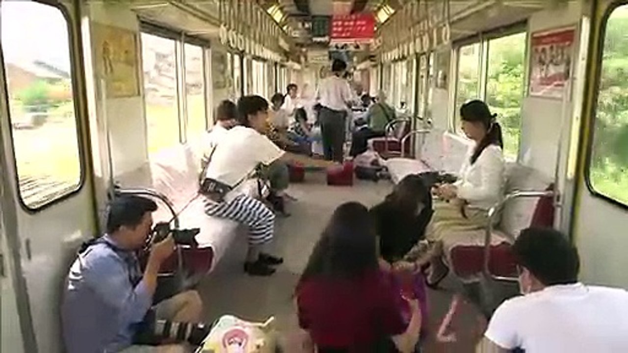愛貓大國推「貓咪列車」