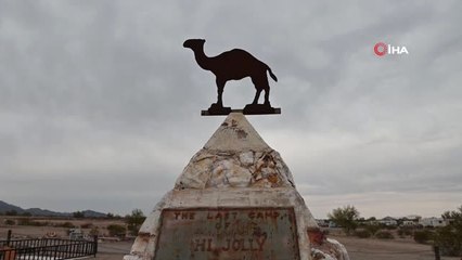 Arizona'da Geleneksel Hacı Ali Yürüyüşü Yapıldı