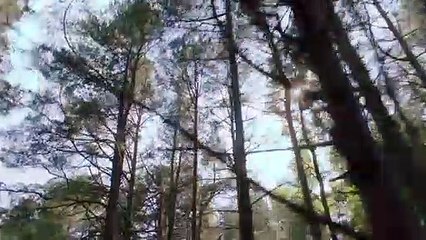 Dram Filmleri Full izle