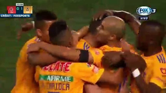 Le but lumineux d’André-Pierre Gignac avec les Tigres