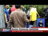 Tragis, Buaya Buas Mangsa Kepala Laboratorium