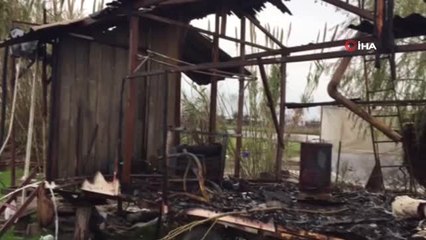 Babasının Davet Ettiği Akşam Yemeği Hayatlarını Kurtardı