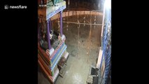 Boozing bear visits locked Indian temple looking for a swig of lamp oil