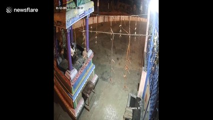 Boozing bear visits locked Indian temple looking for a swig of lamp oil
