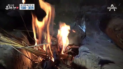 힘든 상황에도 행복한 내일을 꿈꾸는 난시