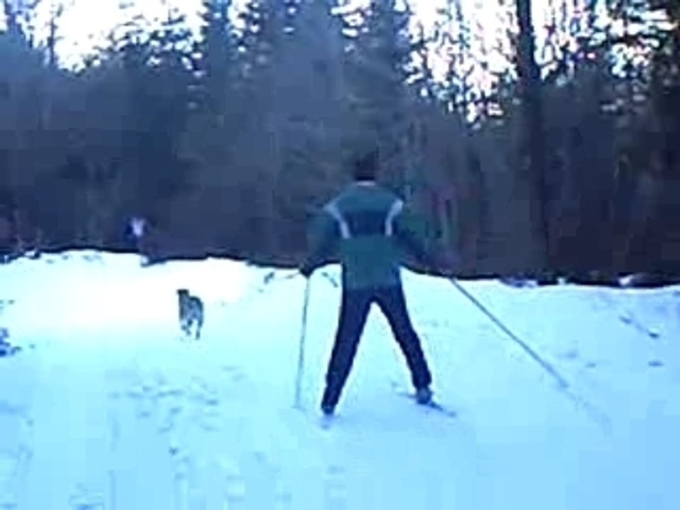 ski de fond dans le Cantal