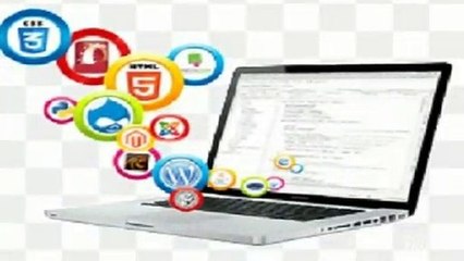 Best Web Designing Training Institute In Noida