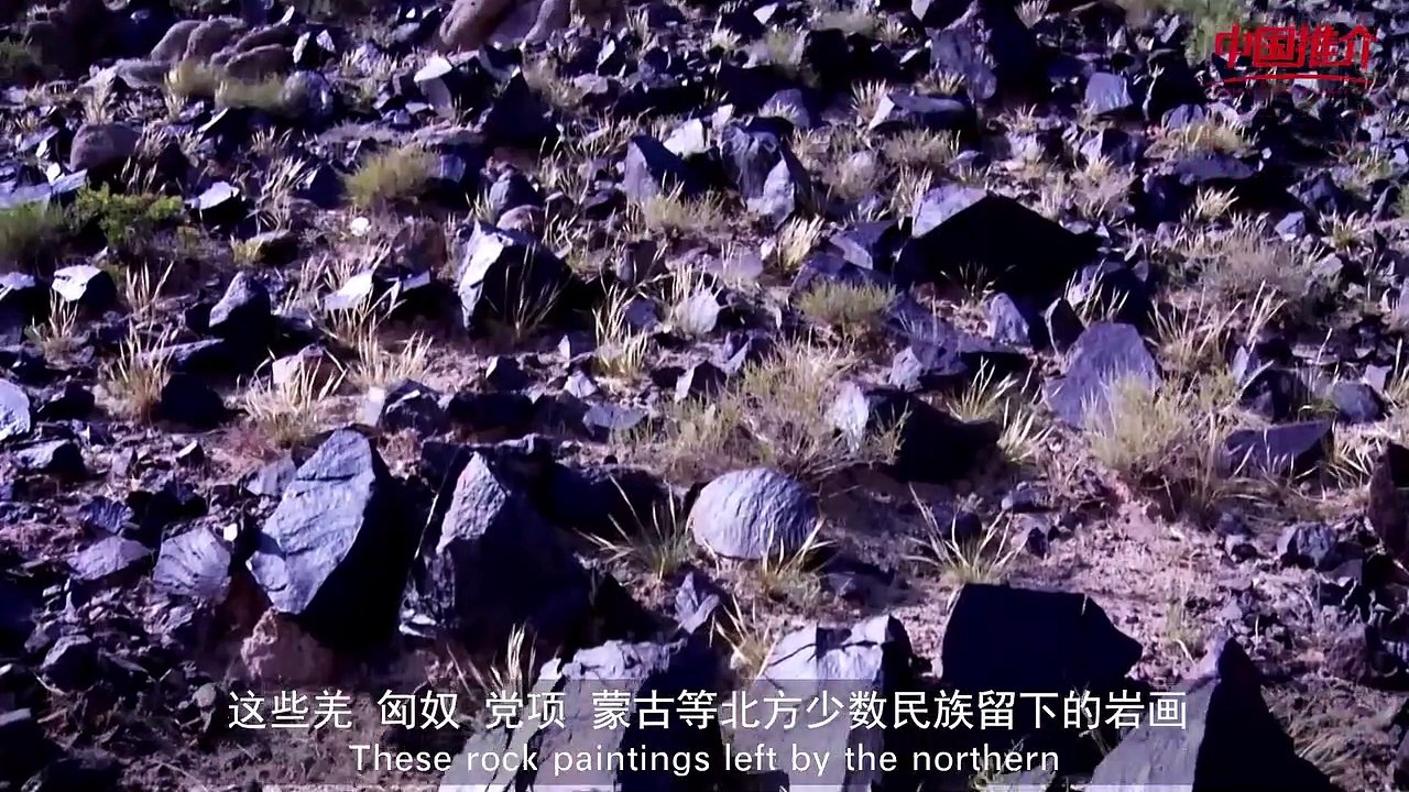 China Recommendation--  Chinese Camel Town-- Alashan Youqi