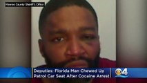 Florida Man Charged After Chewing Up Patrol Car's Seat