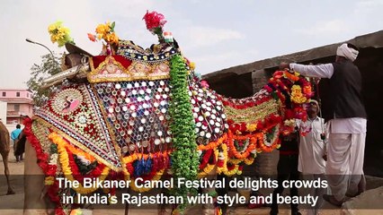 Annual Bikaner camel festival opens in India