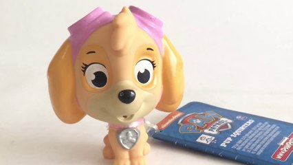 Paw Patrol Skye Bath Pup Squirter Nickelodeon - Unboxing Demo Review