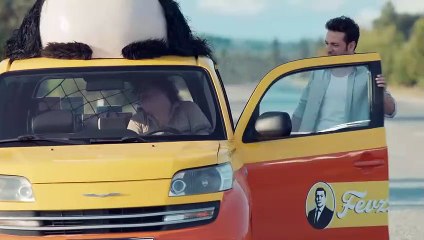 Yol Arkadaşım - Fıstık Çıkı Çıkı